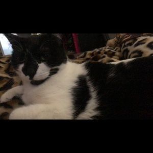 Meet your Posher, Stacy